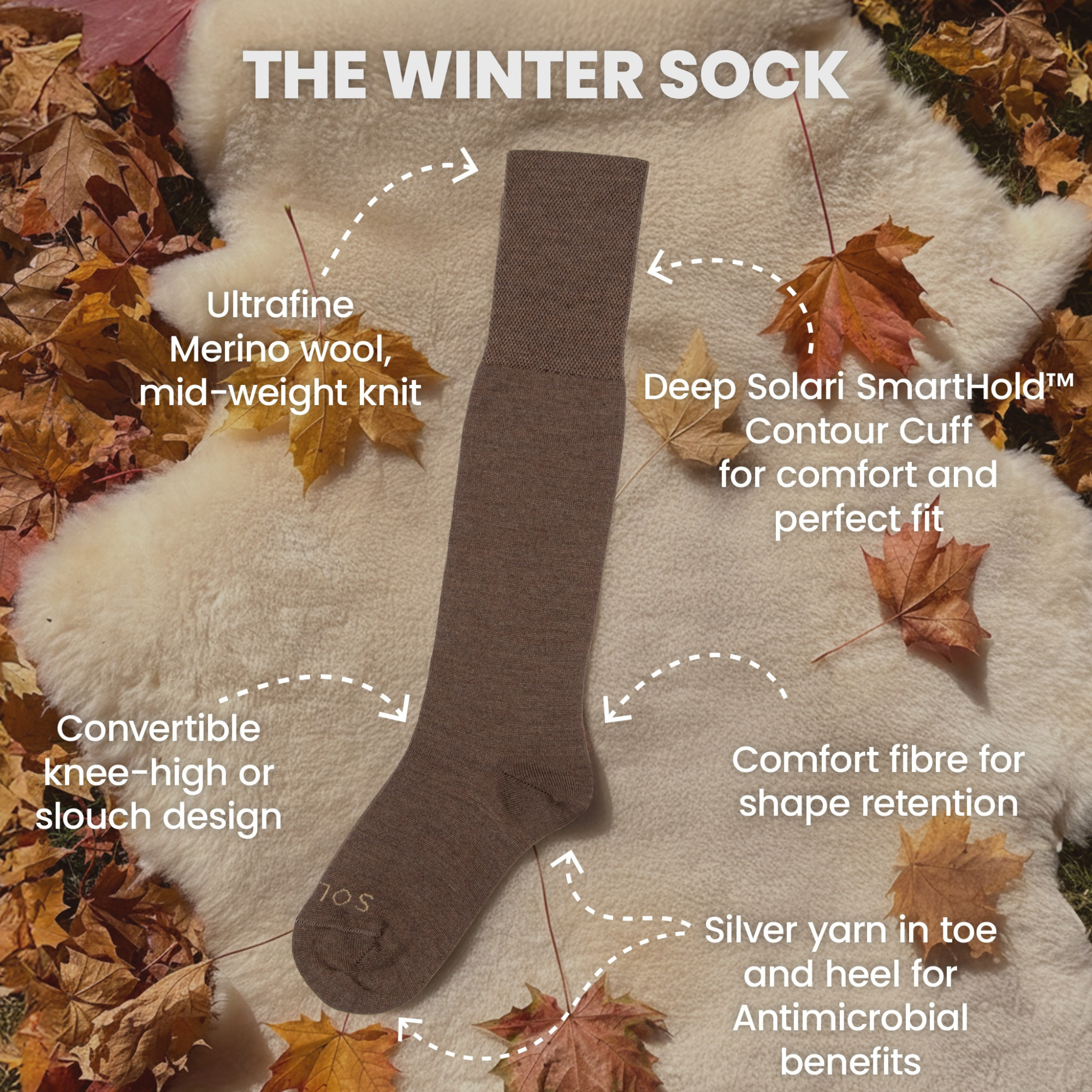 THE WINTER SOCK